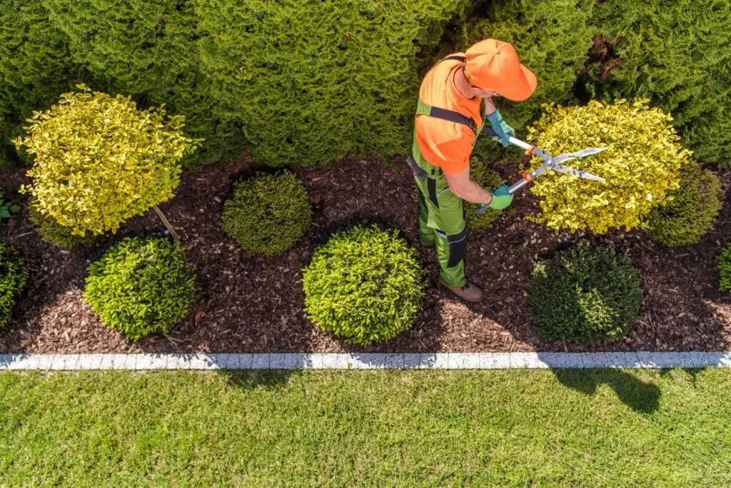 Vacature assistent hovenier