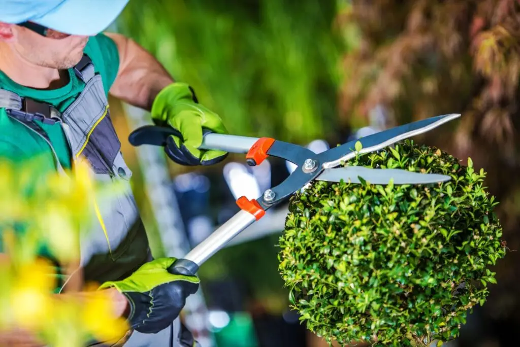 Vacature hovenier bij Parkstad Tuinonderhoud