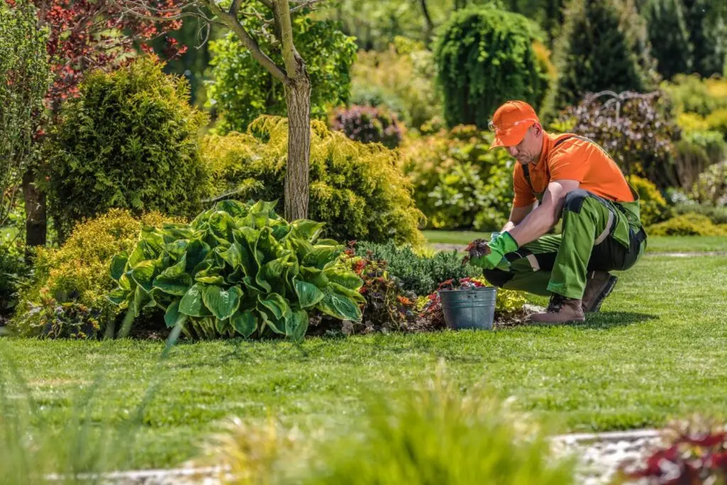 Vacature leerling hovenier BBL